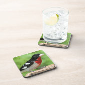 Grosbeak met roos drankjes onderzetter (Rechterzijde)