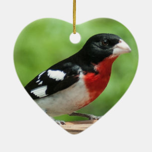 Grosbeak met roos keramisch ornament