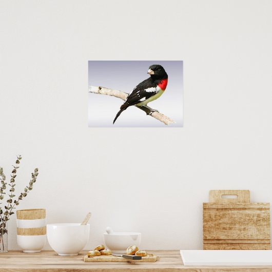 Grosbeak met roos poster (Keuken)