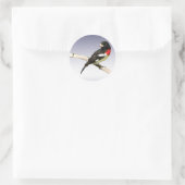 Grosbeak met roos ronde sticker (Tas)