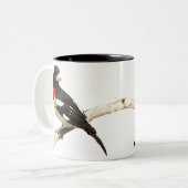 Grosbeak met roos tweekleurige koffiemok (Voorkant links)