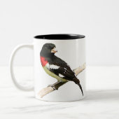 Grosbeak met roos tweekleurige koffiemok (Links)