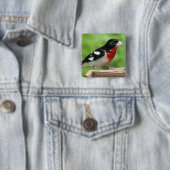Grosbeak met roos vierkante button 5,1 cm (In situ)