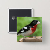 Grosbeak met roos vierkante button 5,1 cm (Voorkant /achterkant)