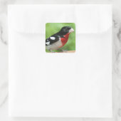 Grosbeak met roos vierkante sticker (Tas)