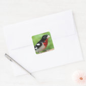 Grosbeak met roos vierkante sticker (Envelop)