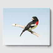 Grosbeak Vogel Verjaardagsfeest Gastenboek (Achterkant)