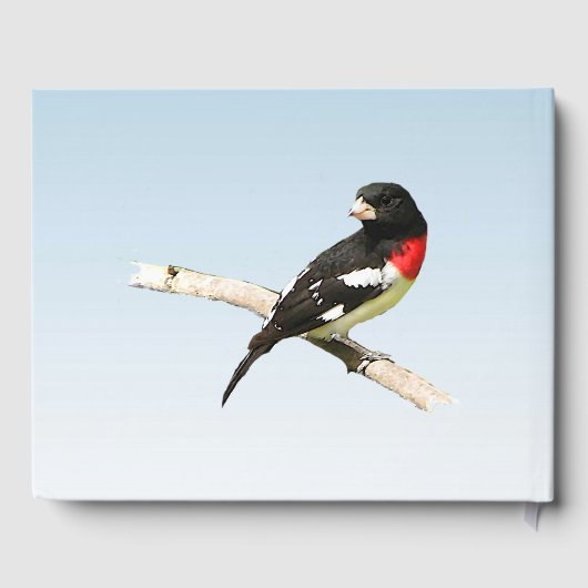 Grosbeak Vogel Verjaardagsfeest Gastenboek (Achterkant)