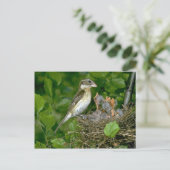 Grosbeak (vrouw), met roos, jong briefkaart (Staand voorkant)