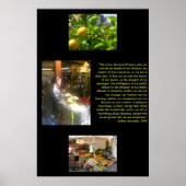 Gross National Product Poster (Voorkant)