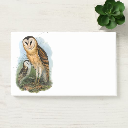 Gross Owl, 10 x 6 inch Post-it® notes (Kantoor)