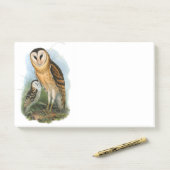 Gross Owl, 10 x 6 inch Post-it® notes (Op bureau)