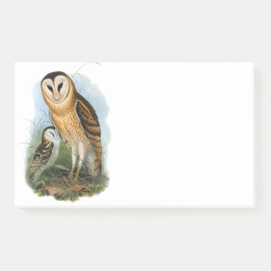 Gross Owl, 10 x 6 inch Post-it® notes (Voorkant)