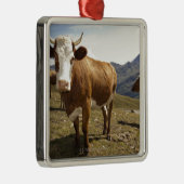 grossglockner hochalpenstrasse,hohe tauern; metalen ornament (Rechts)