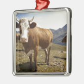 grossglockner hochalpenstrasse,hohe tauern; metalen ornament (Links)