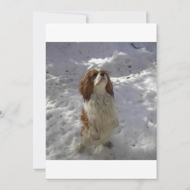 grot in sneeuw (Voorkant)