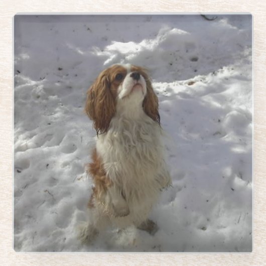 grot in sneeuw glazen onderzetter (Voorkant)