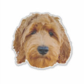 Grote 20,3 x 20,3 cm vinylbesproeiers met maat sticker (Voorkant)