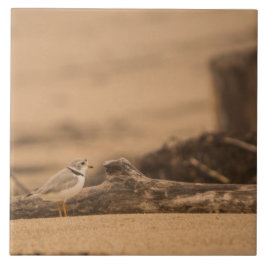 Grote (6-inch x 6-inch) keramische fotostapel voor tegeltje