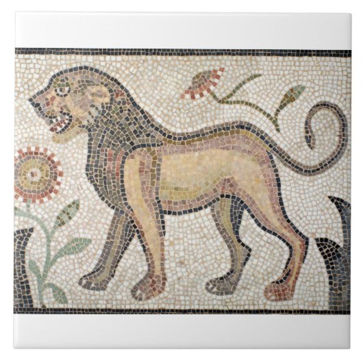 Grote (6 x 6 inch) keramische foto's Tile/Roman mo Tegeltje (Voorkant)