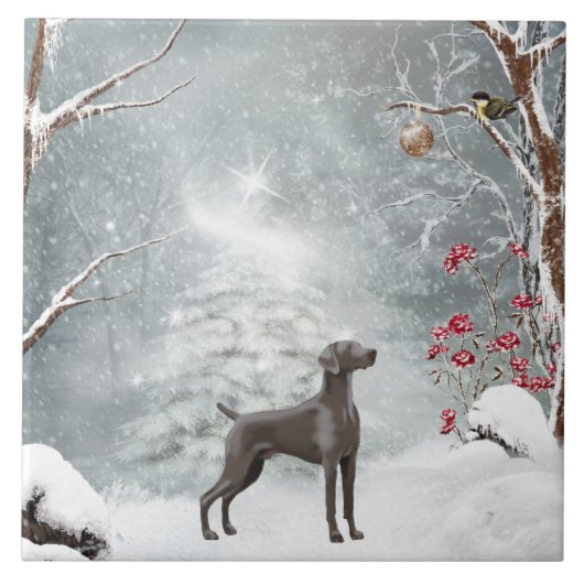 Grote (6 x 6 inch) keramische weekvijver tegeltje (Voorkant)