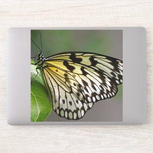 Grote 8 x 8 inch vinylstickers op maat sticker