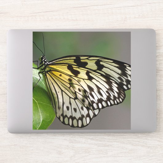 Grote 8 x 8 inch vinylstickers op maat sticker (Computer)