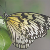 Grote 8 x 8 inch vinylstickers op maat sticker (Voorkant)