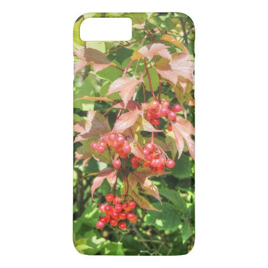 Grote Aalbessen Case-Mate iPhone Case (Achterkant)