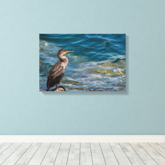 Grote aalscholver op de rotsen canvas afdruk (Insitu (Houten vloer))