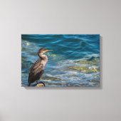 Grote aalscholver op de rotsen canvas afdruk (Voorkant)