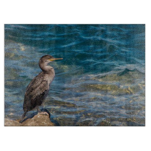 Grote aalscholver op de rotsen snijplank (Voorkant)