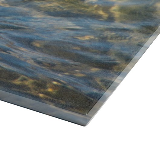 Grote aalscholver op de rotsen snijplank (Hoek)