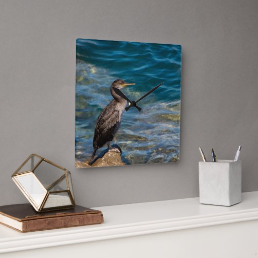 Grote aalscholver op de rotsen vierkante klok (Kantoor)