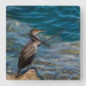 Grote aalscholver op de rotsen vierkante klok (Voorkant)