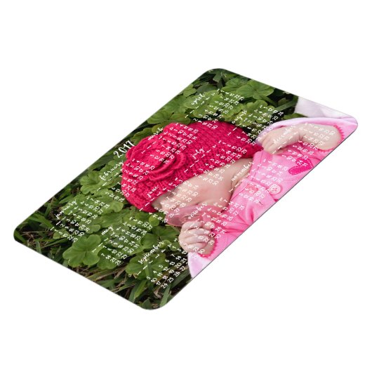 Grote aangepaste 2017 Magnetische Agenda, 4x6 Magneet (Linkerzijde)