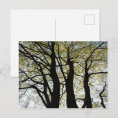 Grote achtergrondstructuur briefkaart (Voorkant / Achterkant)