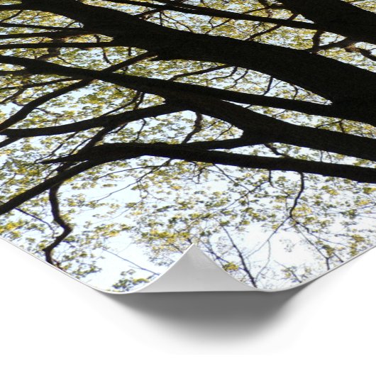 Grote achtergrondstructuur poster (Hoek)