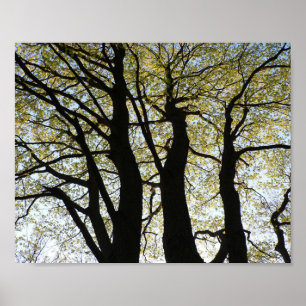 Grote achtergrondstructuur poster