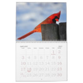 Grote afdrukagenda 2023 - vogels kalender (Jan 2027)