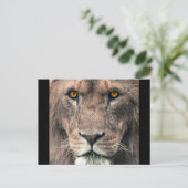 Grote Afrikaanse lionhoofdoogcontact dicht bij man Briefkaart (Staand voorkant)