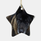 Grote Akita Keramisch Ornament (Rechts)