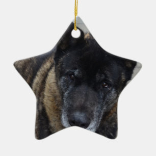Grote Akita Keramisch Ornament