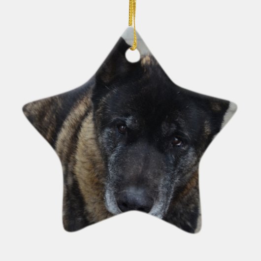 Grote Akita Keramisch Ornament (Achterkant)