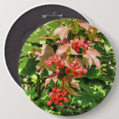 Grote Amerikaanse cranberries Ronde Button 6,0 Cm (Voorkant /achterkant)