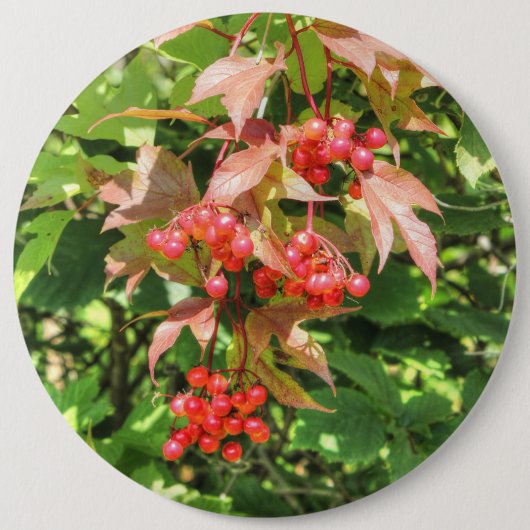 Grote Amerikaanse cranberries Ronde Button 6,0 Cm (Voorkant)
