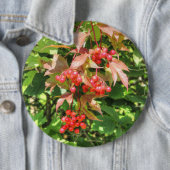 Grote Amerikaanse cranberries Ronde Button 6,0 Cm (In situ)