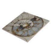 Grote ammoniumkalksteen tegeltje (Zijkant)