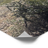 Grote Arizona Desert Picacho Peak State Park Poster (Hoek)