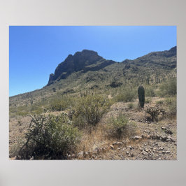 Grote Arizona Desert Picacho Peak State Park Poster